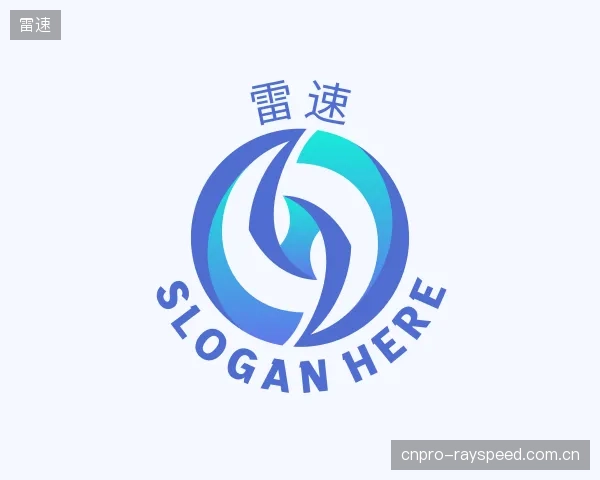 介绍雷速集团